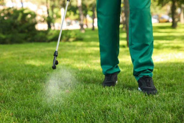 Best Best Pest Control Companies  in Bridgeville, DE